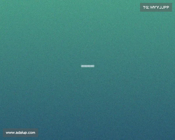 中国桥牌网全国赛事