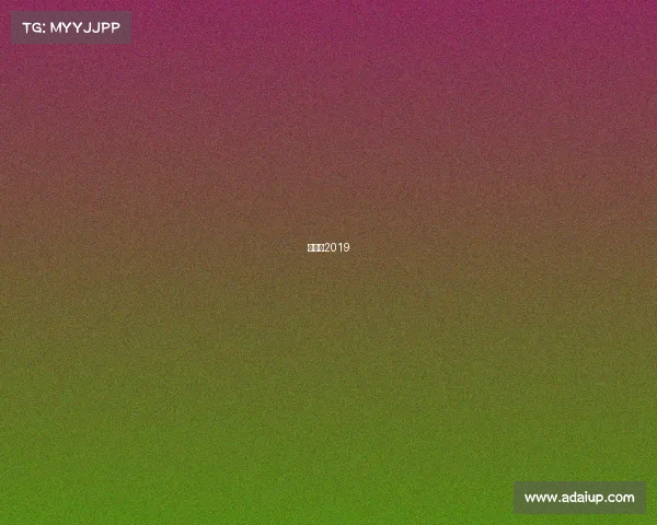 深圳杯2019 深圳杯2019