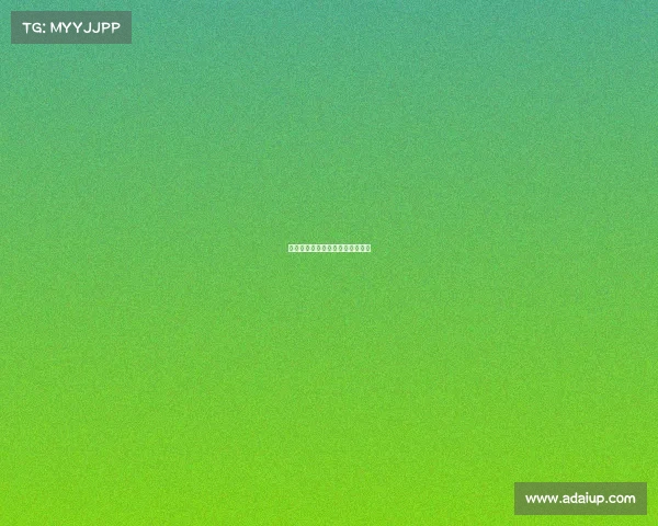 澳网李娜赛事—李娜网球澳网决赛