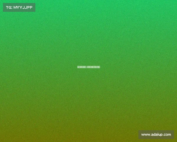 黄山登山赛事 黄山登山赛事有哪些